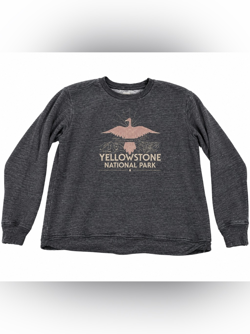 Parks Project Charcoal Sweatshirt with Pink & Cream Graphic